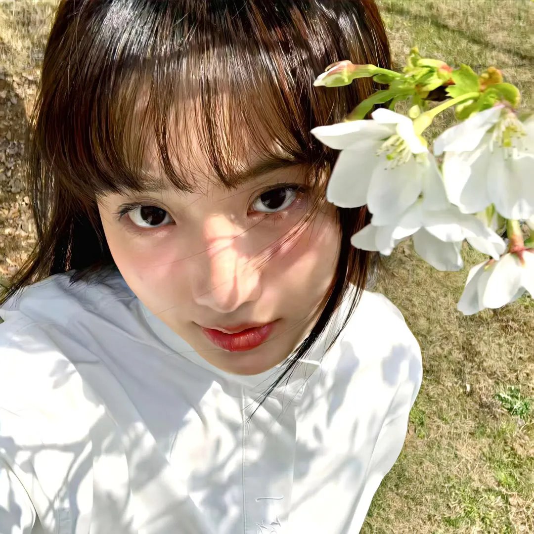 网美嬉游记